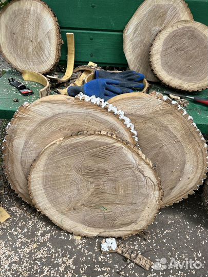 Спилы Ясеня большие и малые