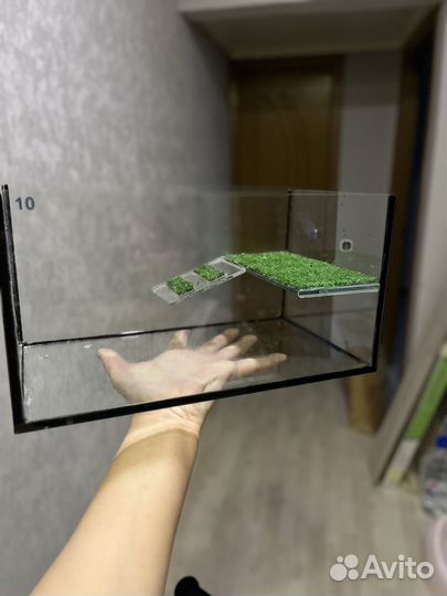 Террарим для черепахи