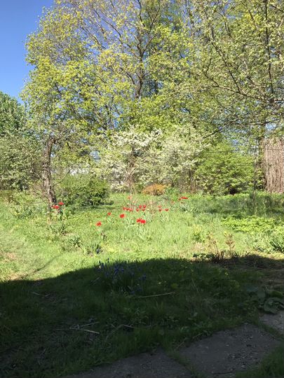 Участок 10,5 сот. (ИЖС)