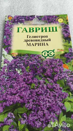 Лаванда