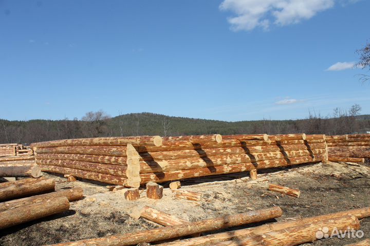 Срубы для бани и дома из сосны Башкирский лес