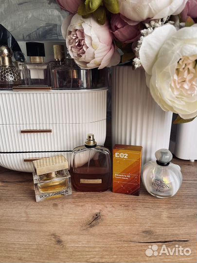 Dior, Molecule, Nina Ricci, Dolce&gabbana