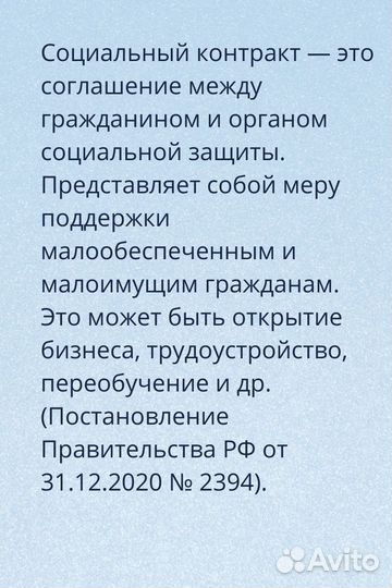 Бизнес план для соцконтракта