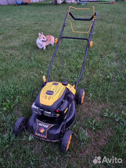 Аренда газонокосилки бензо