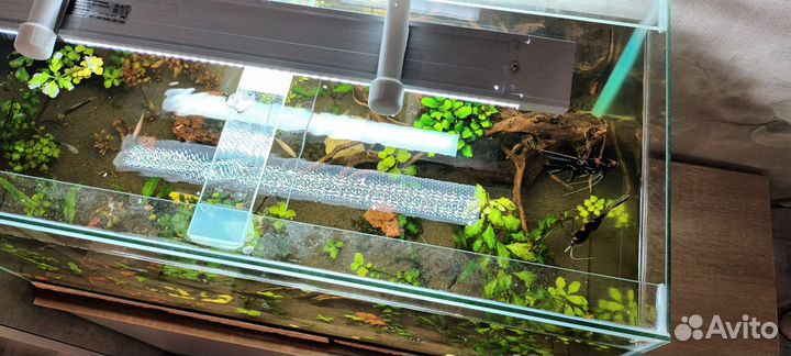Аквариум