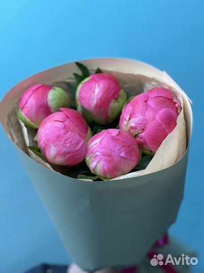 Хризантемы сирень пионы роза