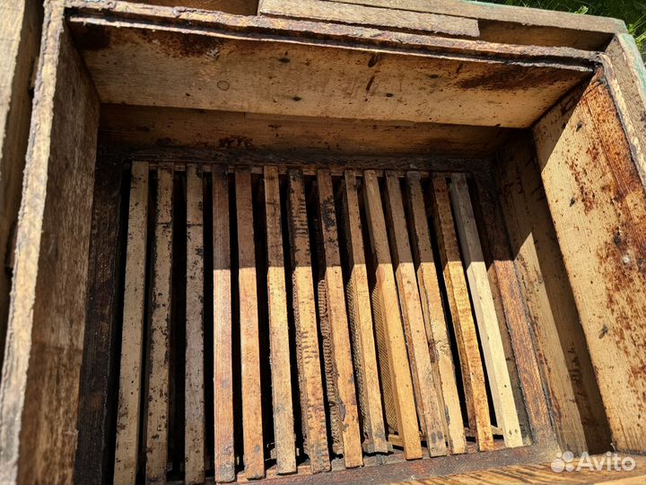 Ульи для пчел