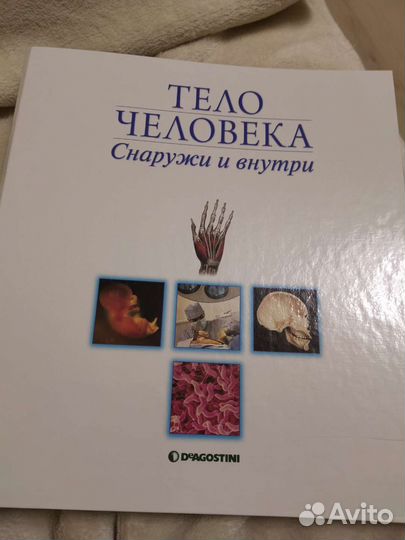 Deagostini Тело человека, Художественная галерея