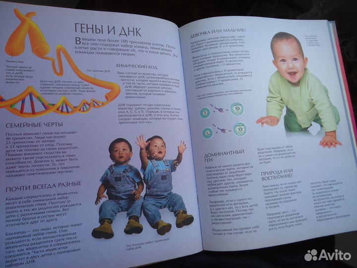 Детская энциклопедия знаний