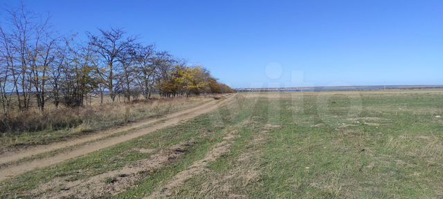 Участок 100 сот. (СНТ, ДНП)