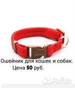 Всякая всячина