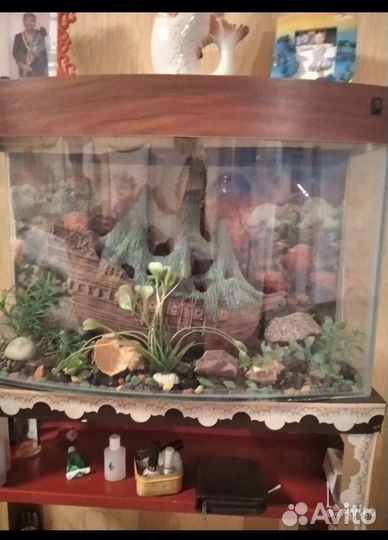 Аквариум