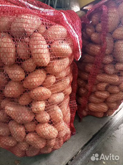 Продукты питания