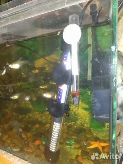 Аквариум с рыбками