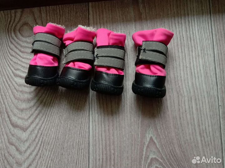 Сапожки для собак