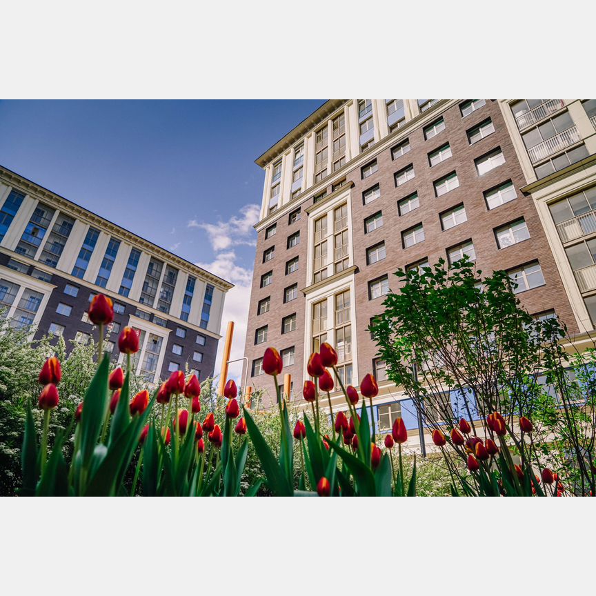 1-к. квартира, 46 м², 4/12 эт.