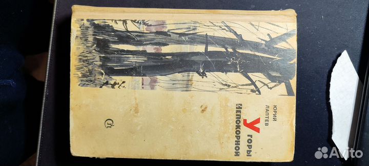 У горы непокорёной