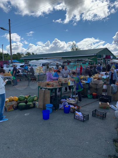 Свободного назначения, 260 м²