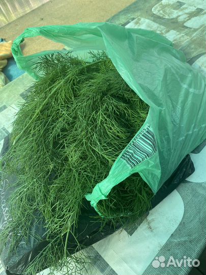 Пакет укропа