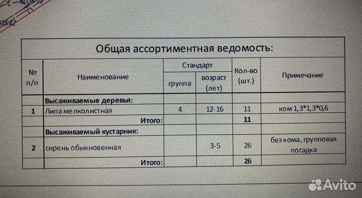 Дендролог. Дендрологическая часть проекта