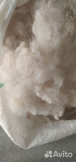 Шерсть овечья мытая