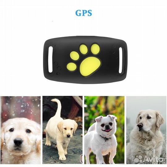 Tracker GPS Z8 для домашних животных