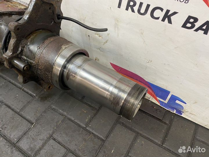 A9603511314 Корпус заднего моста чулок