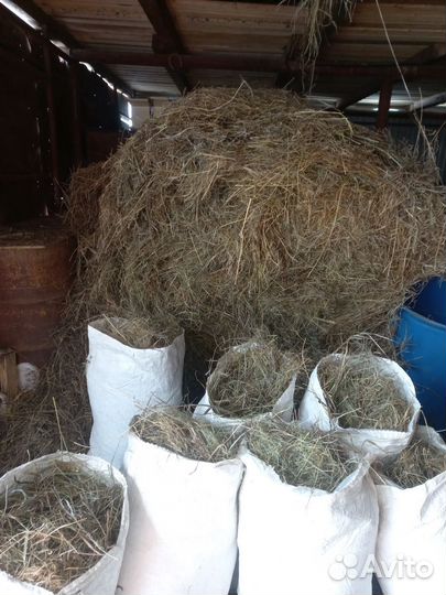 Сено в мешках 2023г