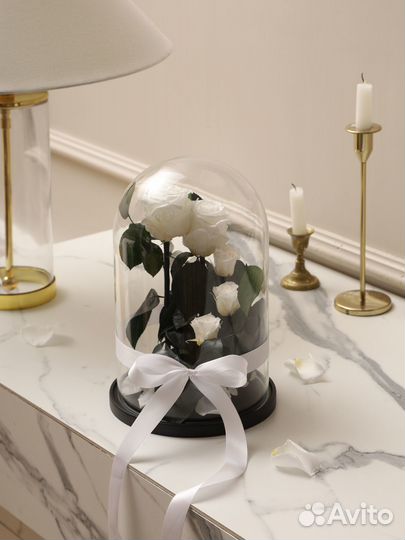 Роза в колбе оптом