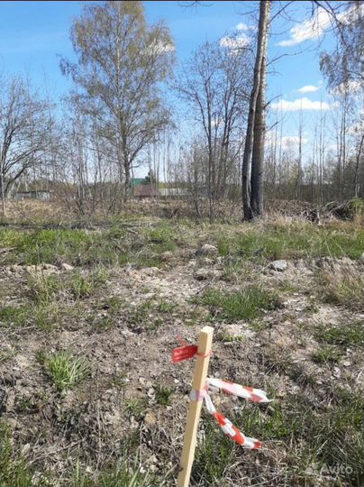 Участок 7,4 сот. (СНТ, ДНП)