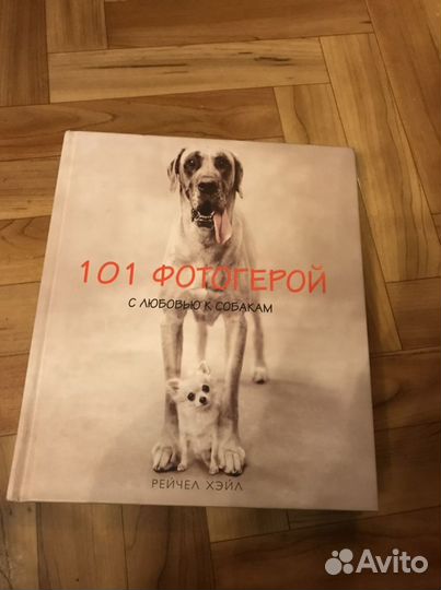 Рейчел Хэйл 101 фотогерой