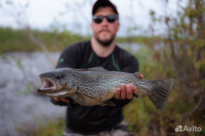 Рыболовный гид на Кольском полуострове