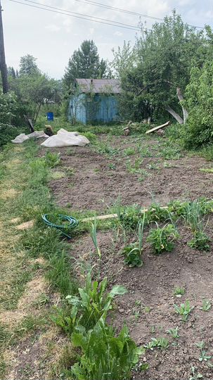 Участок 5 сот. (СНТ, ДНП)