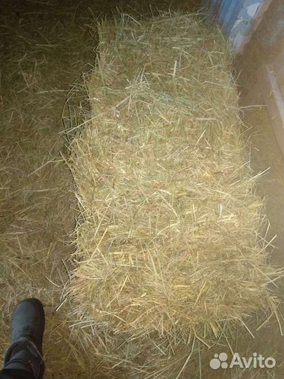 Сено в тюках