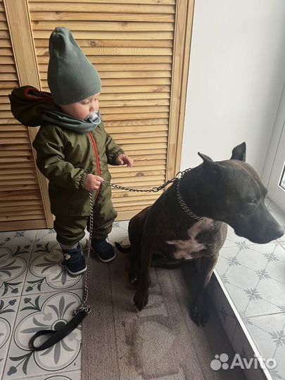 Комбинезон демисезонный 80