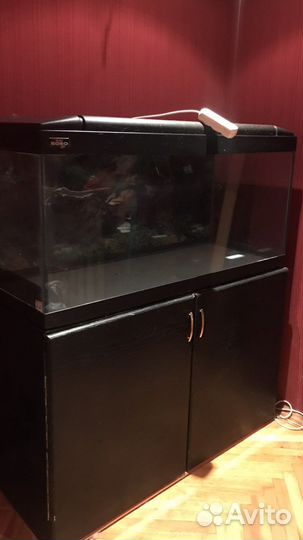 Аквариум
