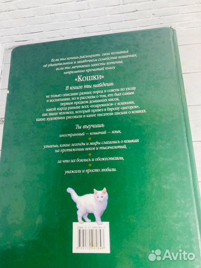 Детская энциклопедия «Кошки»