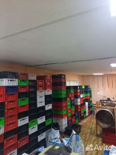 Червь Дендробена Венетта