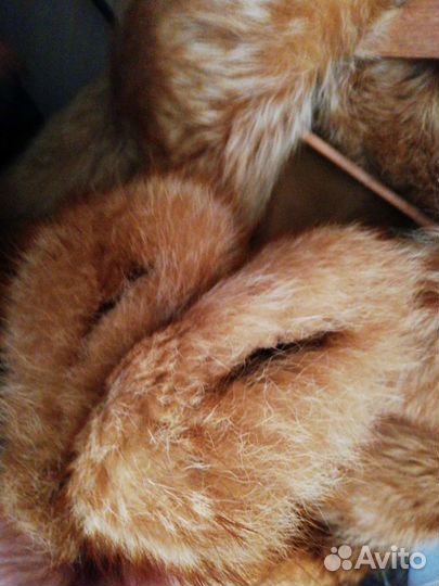 Шуба енотовая