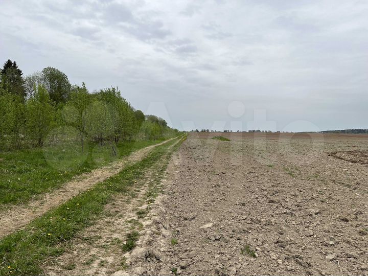 Участок 1,9 га (СНТ, ДНП)