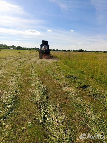 Продам Сено в тюках скос 2024г