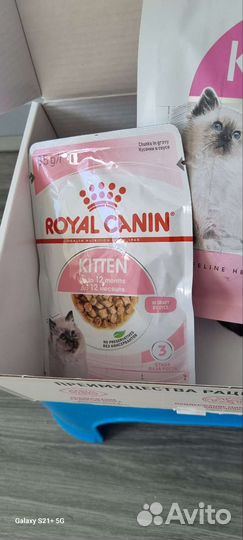 Корм для котят