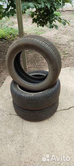 Sava Intensa HP 205/55 R16 91W