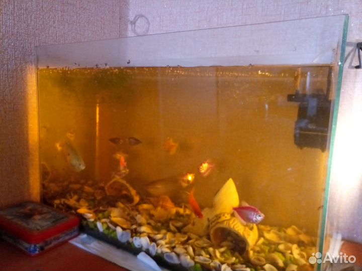 Аквариум