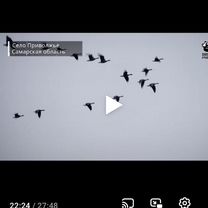 Погода пенза 5 дней по часам. Погода на завтра в клину московской. Погода на завтра в клину московской. Погода в клину на 14 дней в клину. Погода на завтра в клину московской.