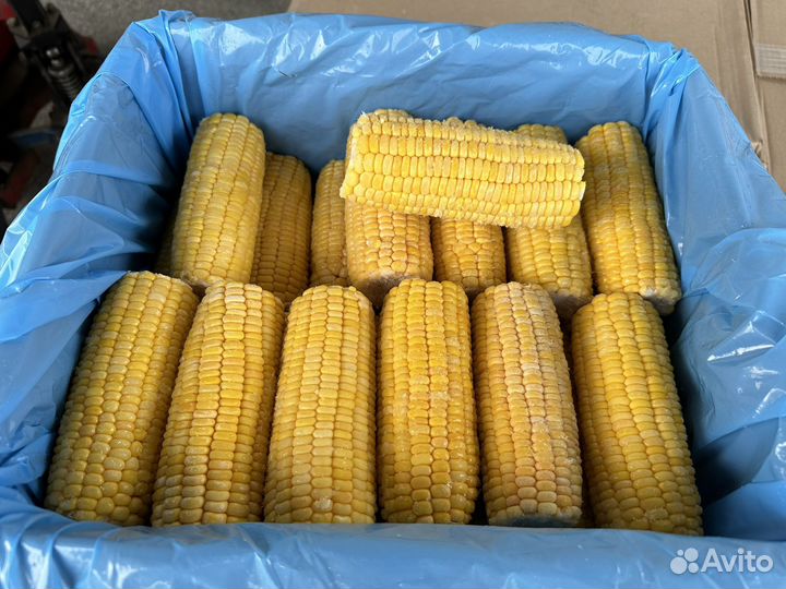 Кукуруза