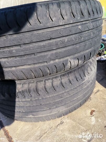 Nokian Tyres Nordman SX2 205/60 R16