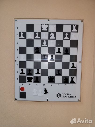 Шахматная доска