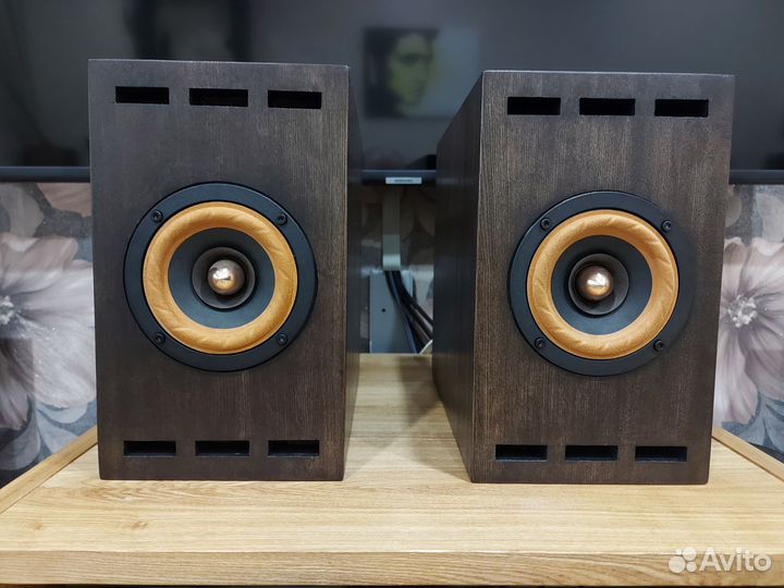 Акустическая система на широкополосных динамиках 4