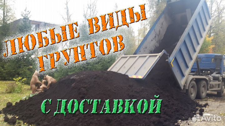 Торф (верх, низ)